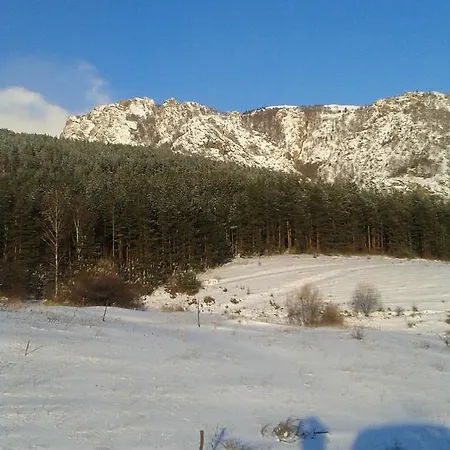 Chuchura Family Koprivştitsa