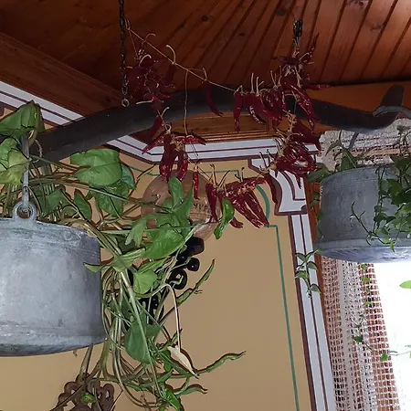 Chuchura Family Hotel 2*